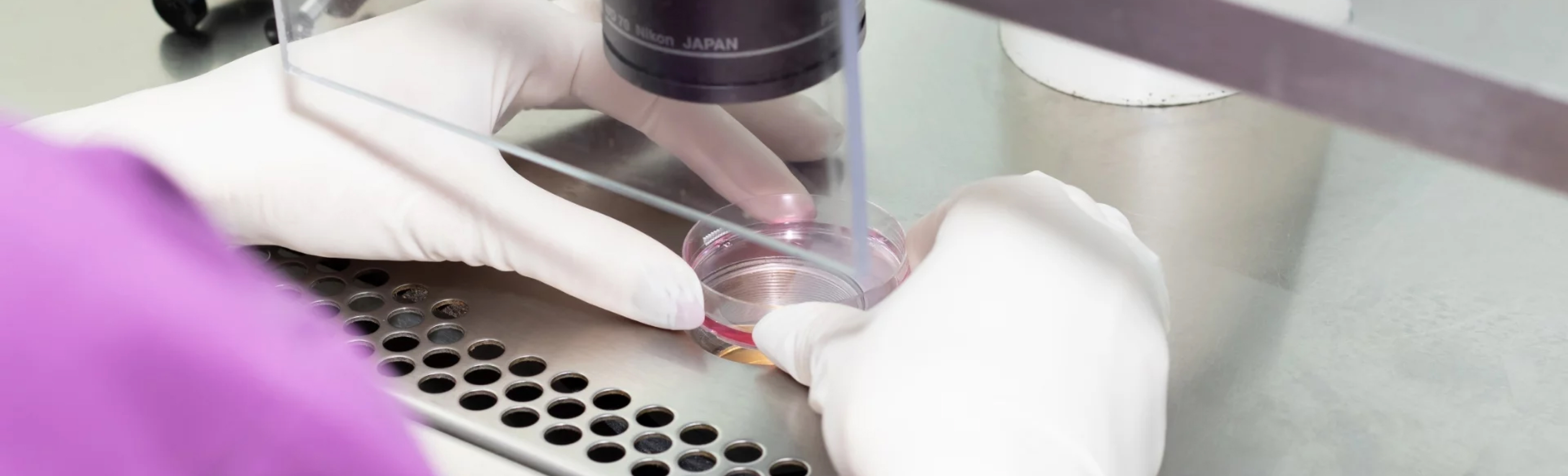 Nicosia IVF clinic image